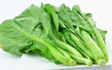 【芥菜】芥菜的功效與作用營養(yǎng)價值_芥菜怎么做好吃_芥菜的做法大全