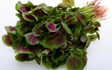 【莧菜】莧菜的功效與作用營(yíng)養(yǎng)價(jià)值_莧菜怎么做好吃_莧菜的做法大全