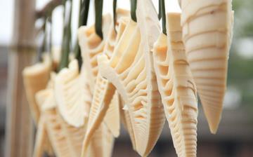 【竹筍】竹筍的營養價值_竹筍怎么做好吃_竹筍的做法大全_孕婦能吃竹筍嗎