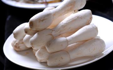 【雞腿菇】雞腿菇的營(yíng)養(yǎng)價(jià)值_雞腿菇怎么做好吃_雞腿菇的做法大全 【雞腿菇】雞腿菇的營(yíng)養(yǎng)價(jià)值_雞腿菇怎么做好吃_雞腿菇的做法大全