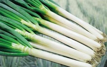 【大蔥】大蔥的功效與作用營養價值_大蔥怎么做好吃_大蔥的做法大全 【大蔥】大蔥的功效與作用營養價值_大蔥怎么做好吃_大蔥的做法大全