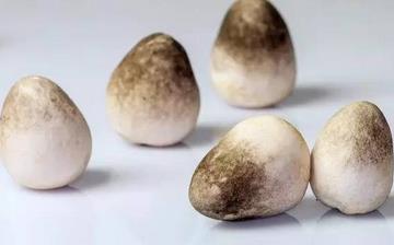 【草菇】草菇的功效與作用營養(yǎng)價值_草菇怎么做好吃_草菇的做法大全