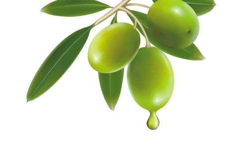 橄欖油的美容功效:防止妝粉脫落