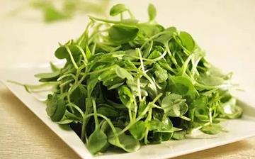 【豌豆苗】豌豆苗的營養(yǎng)價值_豌豆苗怎么做好吃_豌豆苗的做法大全 【豌豆苗】豌豆苗的營養(yǎng)價值_豌豆苗怎么做好吃_豌豆苗的做法大全