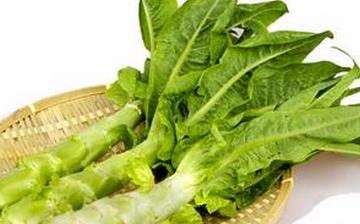 【萵筍葉】萵筍葉的營養價值_萵筍葉怎么做好吃_萵筍葉的做法大全