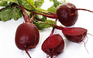 【甜菜根】甜菜根的營養價值_甜菜根怎么做好吃_甜菜根的做法大全 【甜菜根】甜菜根的營養價值_甜菜根怎么做好吃_甜菜根的做法大全