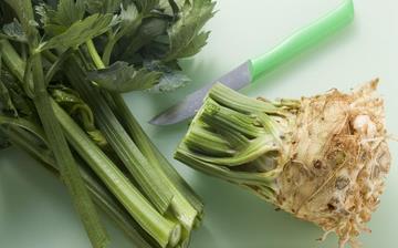 【根芹】根芹的功效與作用營養價值_根芹怎么做好吃_根芹的做法大全 【根芹】根芹的功效與作用營養價值_根芹怎么做好吃_根芹的做法大全