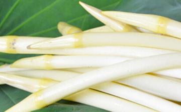 【藕帶】藕帶的功效與作用營養價值_藕帶怎么做好吃_藕帶的做法大全 【藕帶】藕帶的功效與作用營養價值_藕帶怎么做好吃_藕帶的做法大全