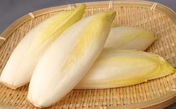 【菊苣】菊苣的營養(yǎng)價(jià)值_菊苣怎么做好吃_菊苣的做法大全