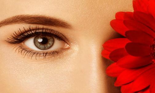 黃帝內經五臟養生之道