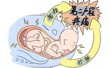 【順產】順產與剖腹產的區別_順產疼嗎_哪些人不適合順產_無痛自然分娩是什么 【順產】順產與剖腹產的區別_順產疼嗎_哪些人不適合順產_無痛自然分娩是什么