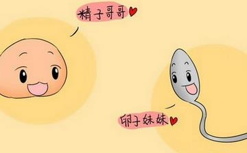 【卵子】卵子排出體外是什么樣_卵子多大排出_卵子檢查注意事項_卵子發育不好怎么辦