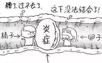 【不育】不育的原因_不育檢查什么項目_不孕不育能治嗎 【不育】不育的原因_不育檢查什么項目_不孕不育能治嗎