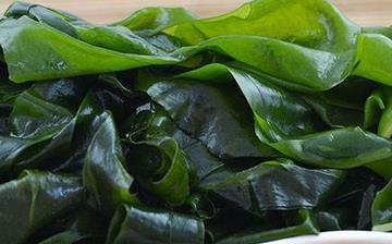【海白菜】海白菜的營養價值_海白菜怎么做好吃_海白菜的做法大全 【海白菜】海白菜的營養價值_海白菜怎么做好吃_海白菜的做法大全