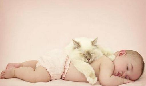 如何給寶寶轉奶？