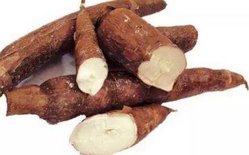 【木薯】木薯的營養價值_木薯怎么做好吃_木薯的做法大全 【木薯】木薯的營養價值_木薯怎么做好吃_木薯的做法大全