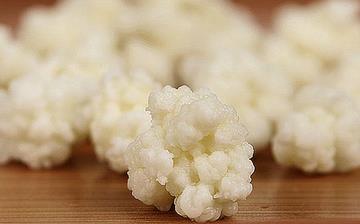 【雪蓮菌】雪蓮菌的營(yíng)養(yǎng)價(jià)值_雪蓮菌的功效和作用_什么牌子的雪蓮菌好 【雪蓮菌】雪蓮菌的營(yíng)養(yǎng)價(jià)值_雪蓮菌的功效和作用_什么牌子的雪蓮菌好