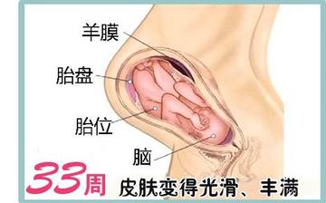 【懷孕33周】懷孕33周發育指標_懷孕33周胎兒變化_媽媽狀態_懷孕33周注意事項 【懷孕33周】懷孕33周發育指標_懷孕33周胎兒變化_媽媽狀態_懷孕33周注意事項
