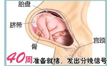 【懷孕40周】懷孕40周發(fā)育指標(biāo)檢查_懷孕40周胎兒變化_媽媽狀態(tài)_懷孕40周注意事項(xiàng)