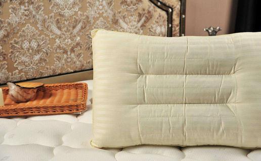 菊花枕頭的神奇功效你知道嗎?