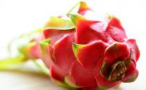 美味火龍果助你快速瘦身