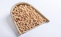 黃豆的營養價值竟然那么強大？