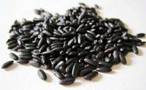 吃對米飯幫你排毒養顏