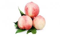 五指毛桃有哪些功效？