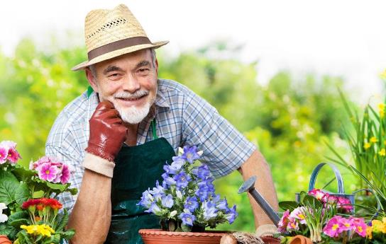 老人如何通過飲食來延緩衰老？