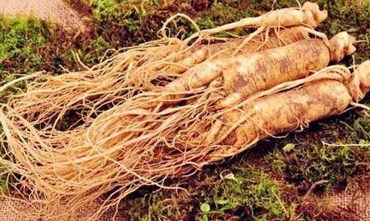 盤點中醫常用的5種美容藥物