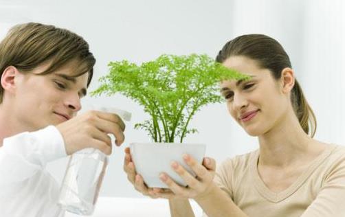 遇到這些男人 你真的要嫁嗎?