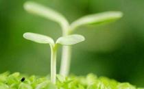 男人春季要如何養生？