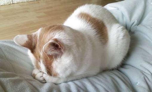 心臟病猝死的前兆有哪些?