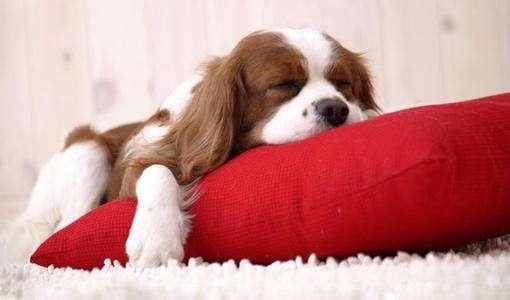 怎樣才是好睡眠?這樣才叫睡得好