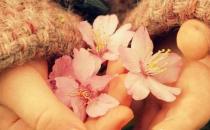 男人劈腿的理由有哪些？