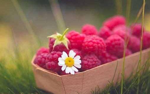 如何讓母親度過一個快樂的晚年？