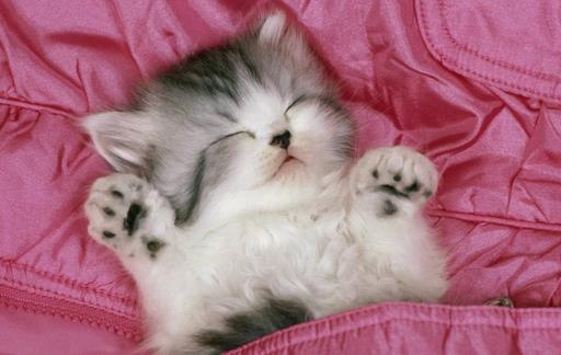 熬夜會給你帶來什么危害?