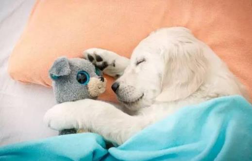 不吃晚飯會有什么危害？