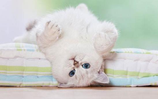 落枕是啥？落枕了怎么辦？