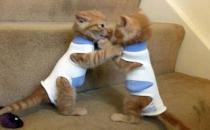 睡得太少會有什么危害？