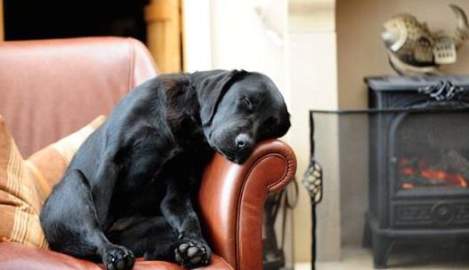 頭發(fā)不干就睡覺(jué)會(huì)有這些危害