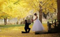 必看！十二星座情商排行榜