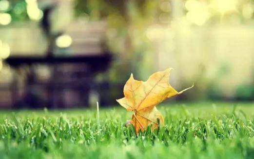 老公出軌 如何走出痛苦期?