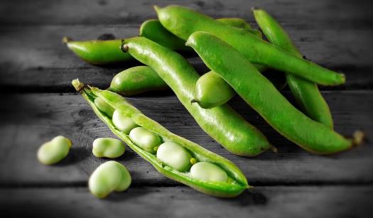 有毒食物吃的時候要謹慎！