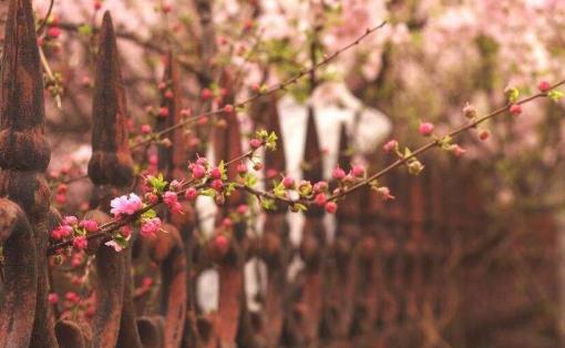 盤點女人在愛情里做過的傻事