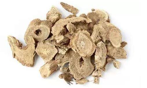 川木香的功效與作用 藥用價(jià)值