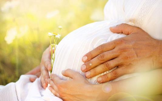 胎動的規律和變化