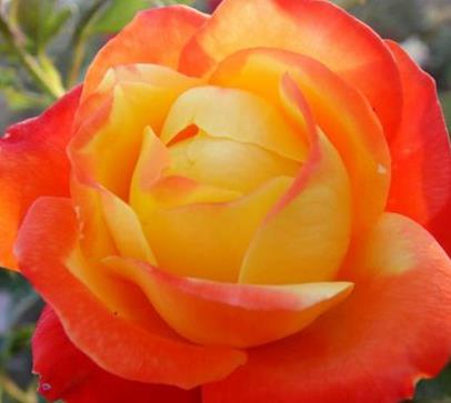 女人縮陰用什么方法