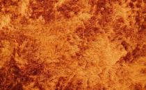 地毯應該如何清洗與保養