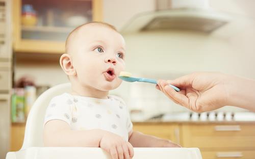 哪些食材適宜制作輔食粥